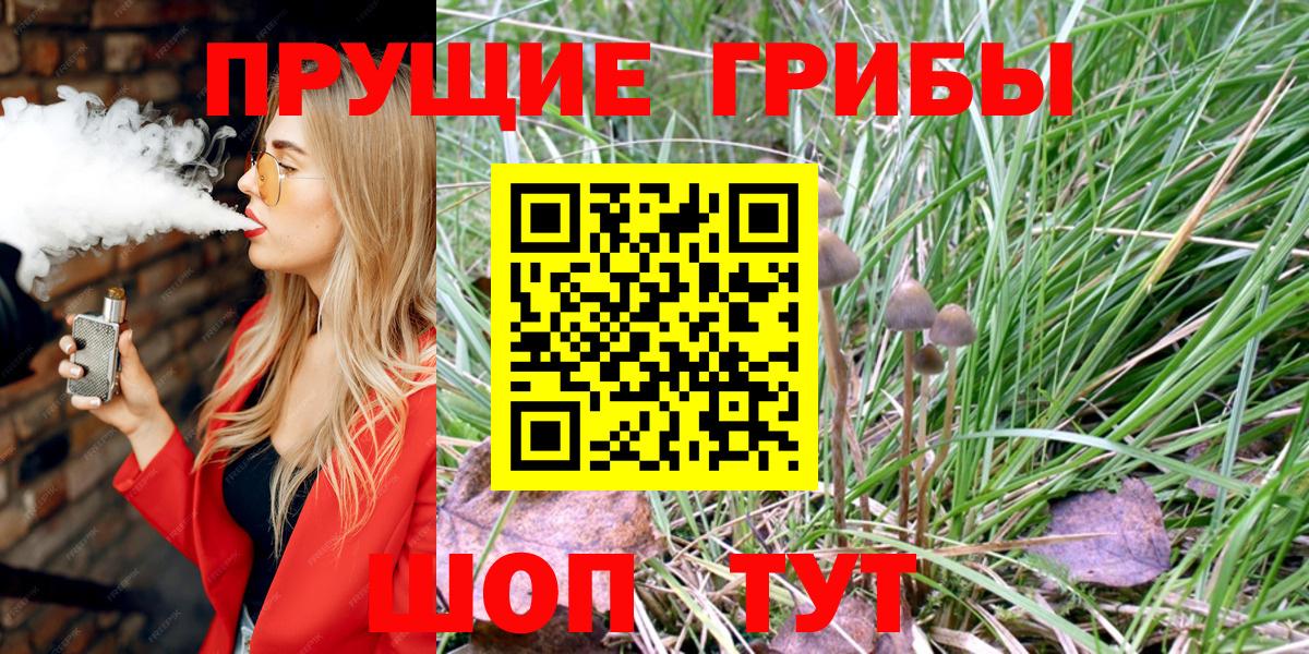 Псилоцибиновые грибы Psilocybe  Галлюциногенные грибы мицелий  Вход с VPN  Томск 